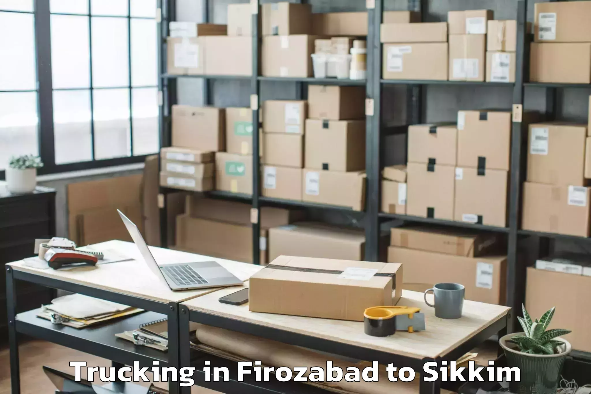 Leading Firozabad to Eiilm University Jorethang Trucking Provider